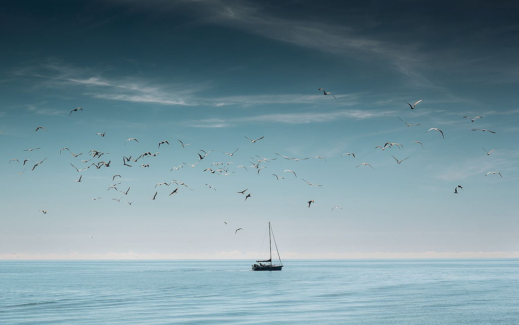 Setting Sail