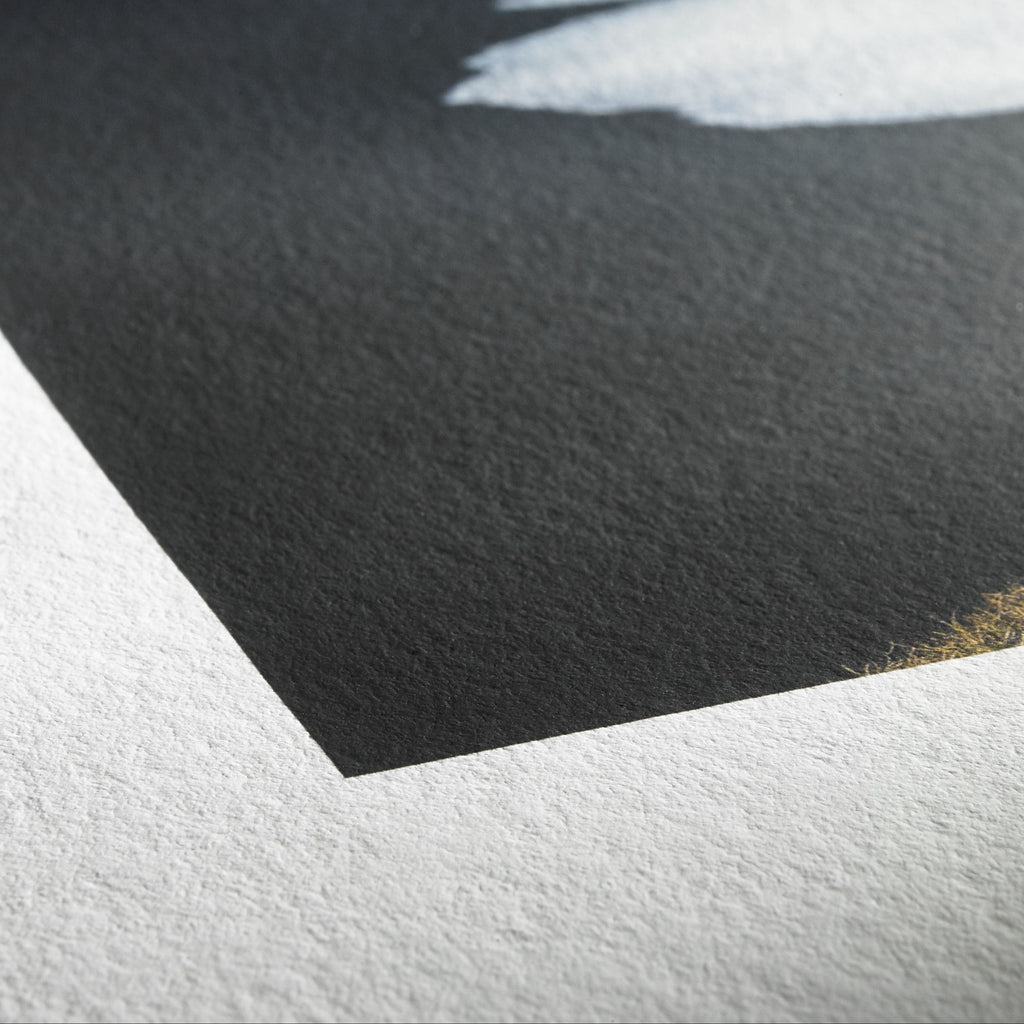 THIS IS THE PRINTING DETAIL FOR THIS PAPER STOCK 