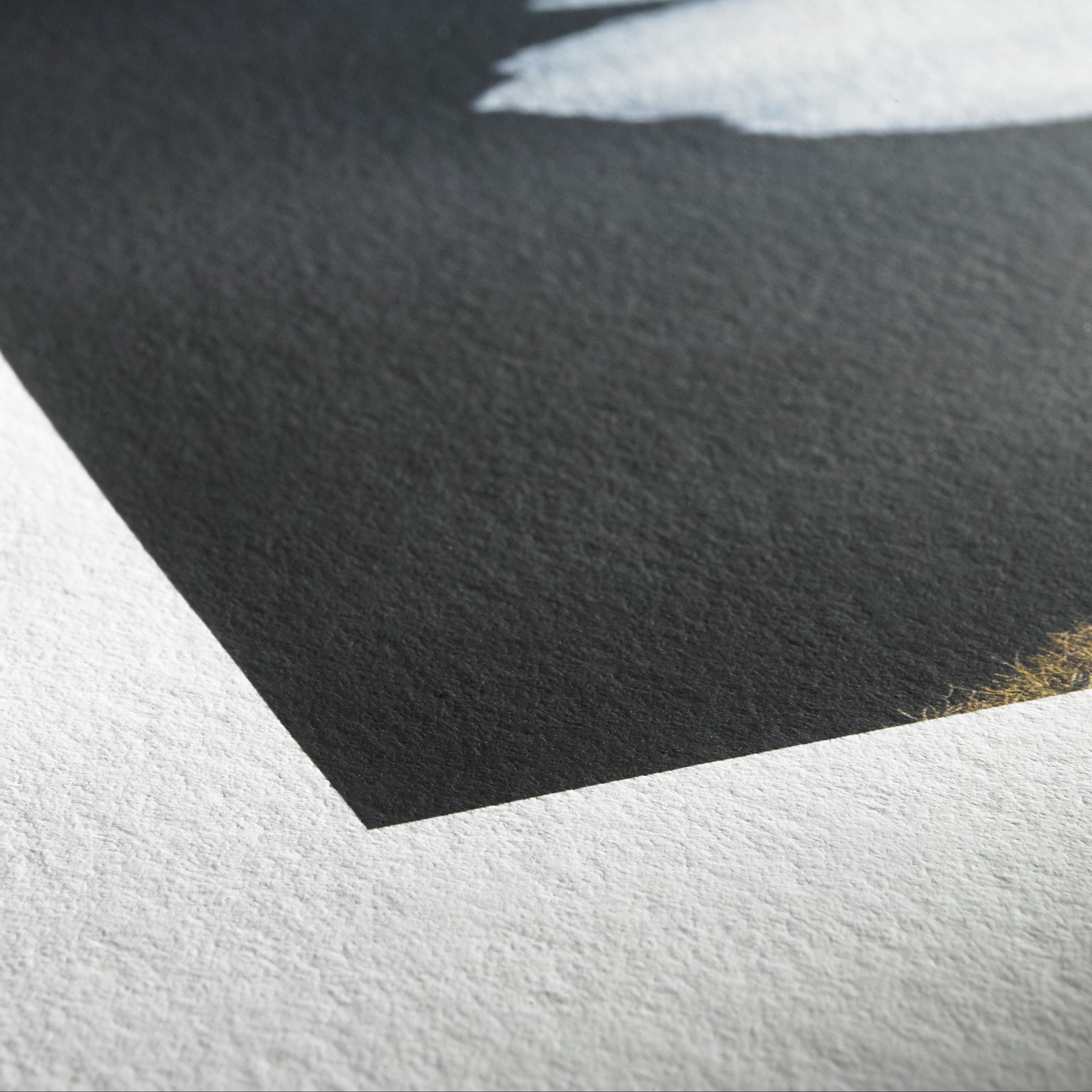 THIS IS THE PRINTING DETAIL FOR THIS PAPER STOCK 