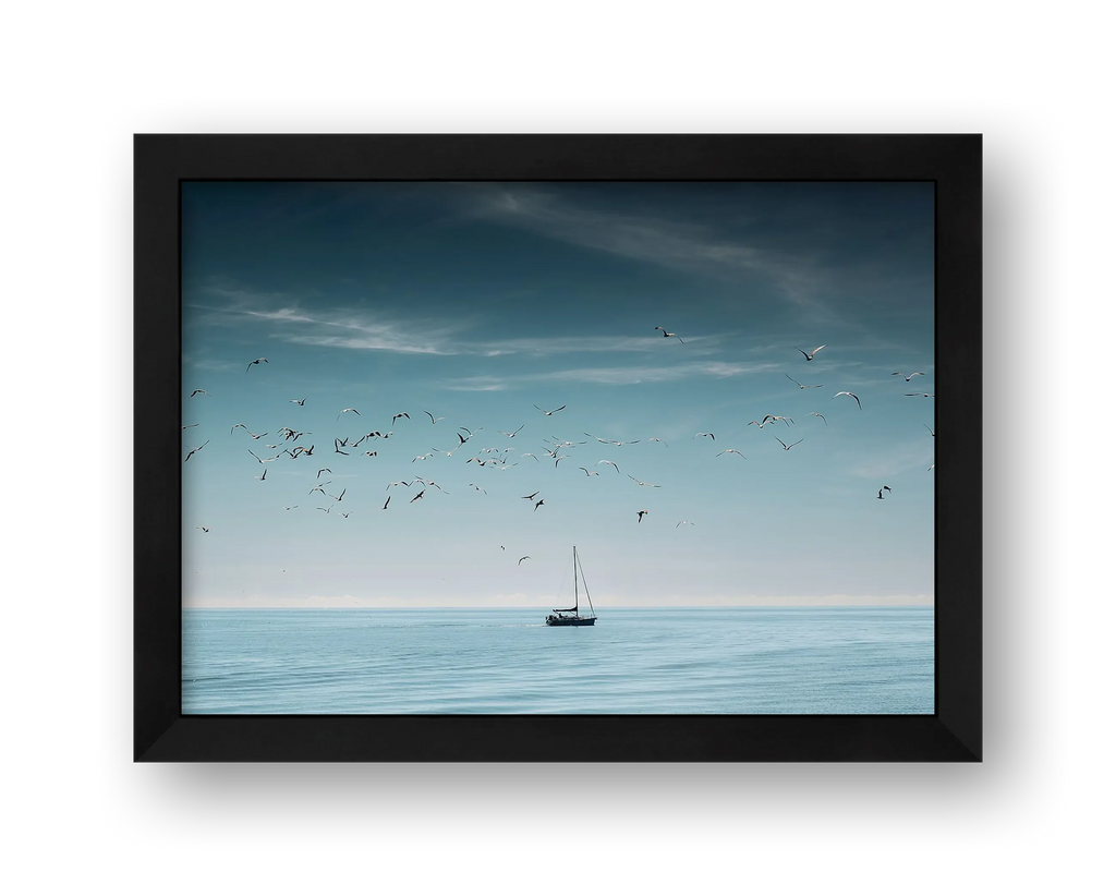 Setting Sail — framed