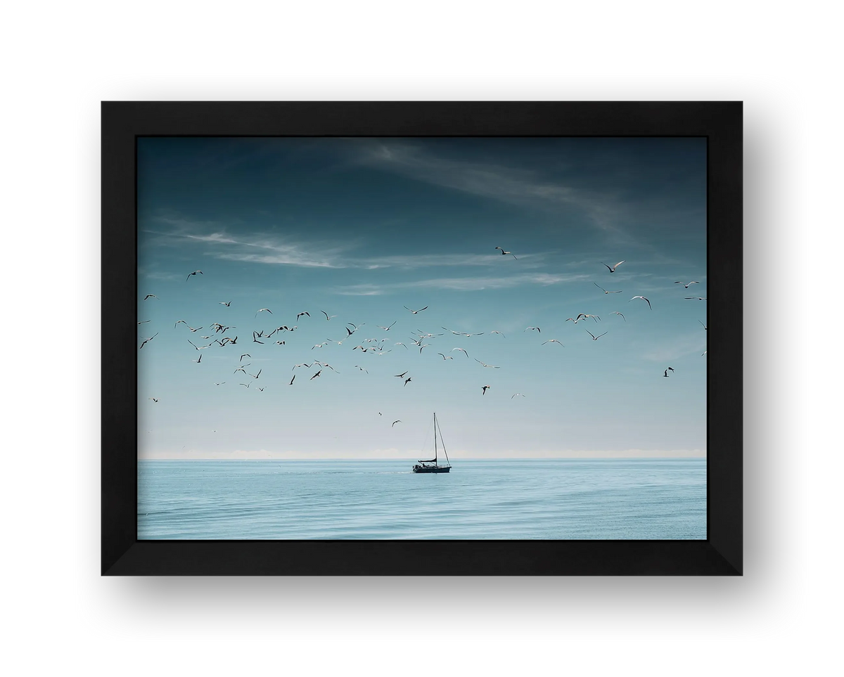 Setting Sail — framed