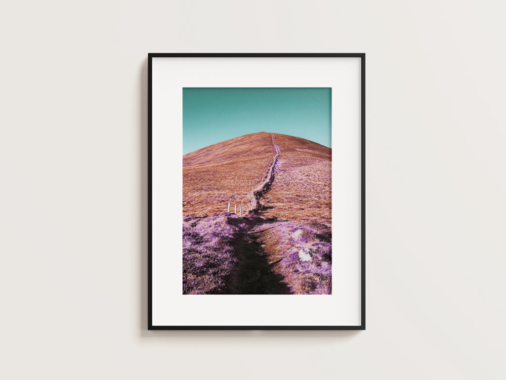 The Hill