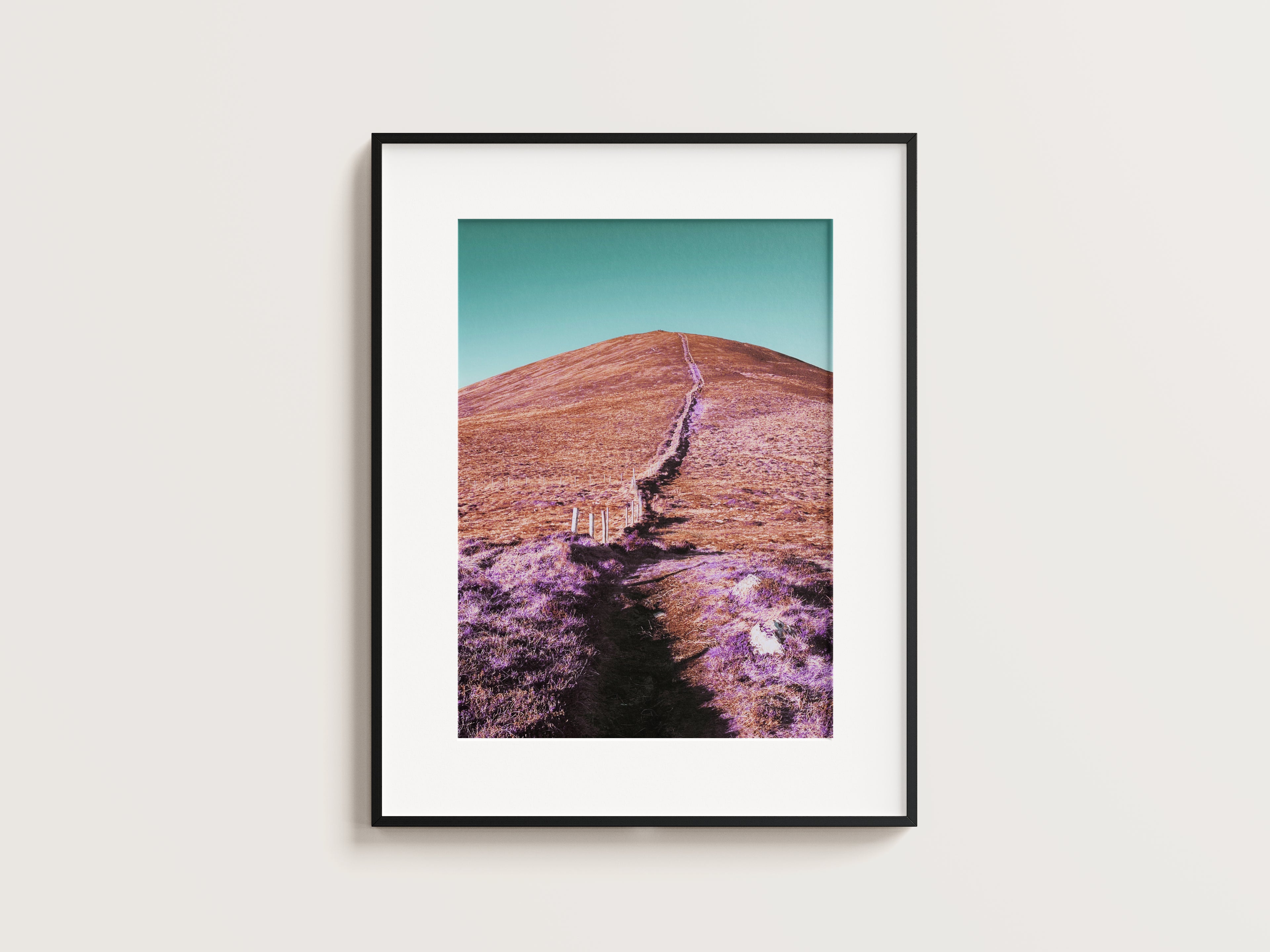 The Hill