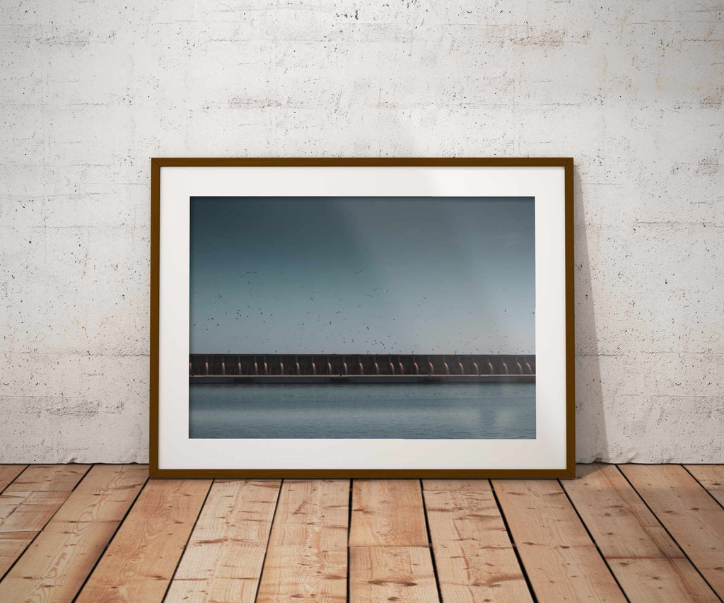 El Muelle