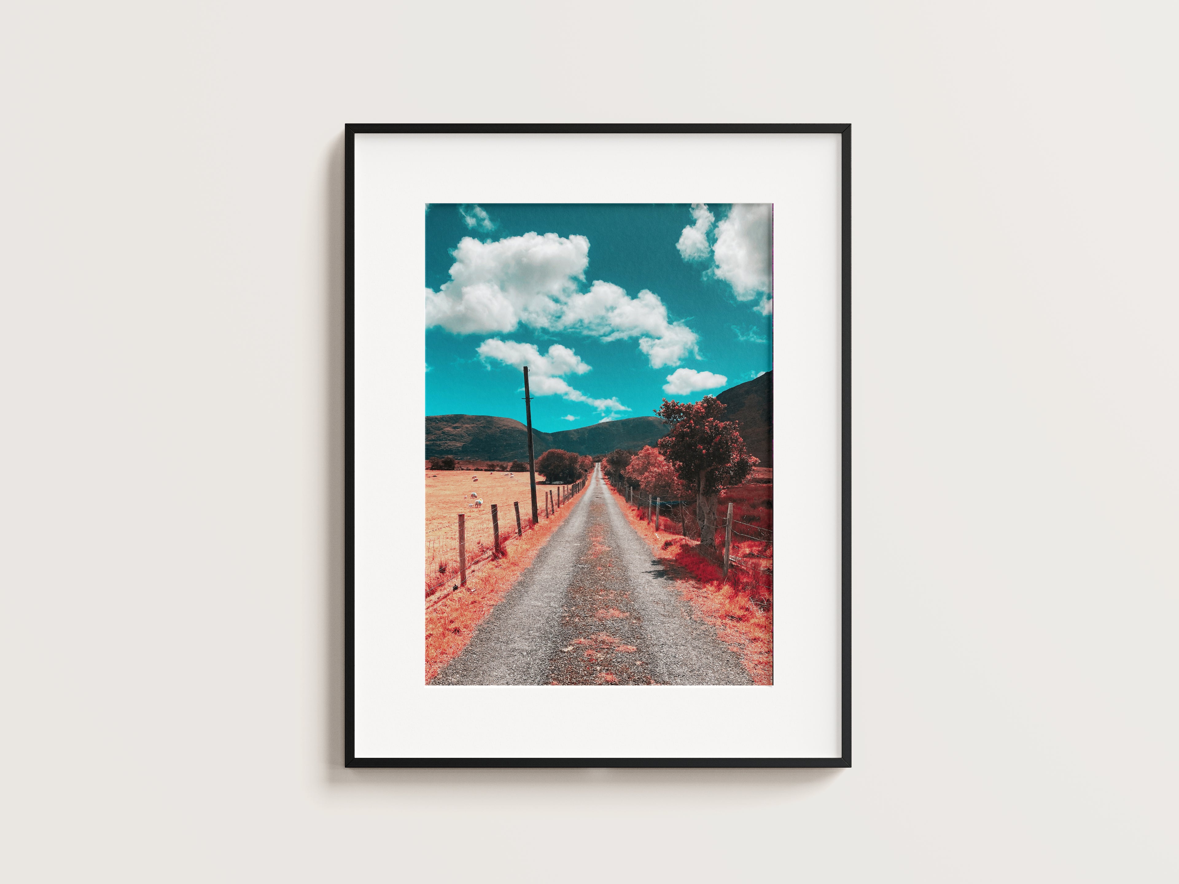 The Road Home