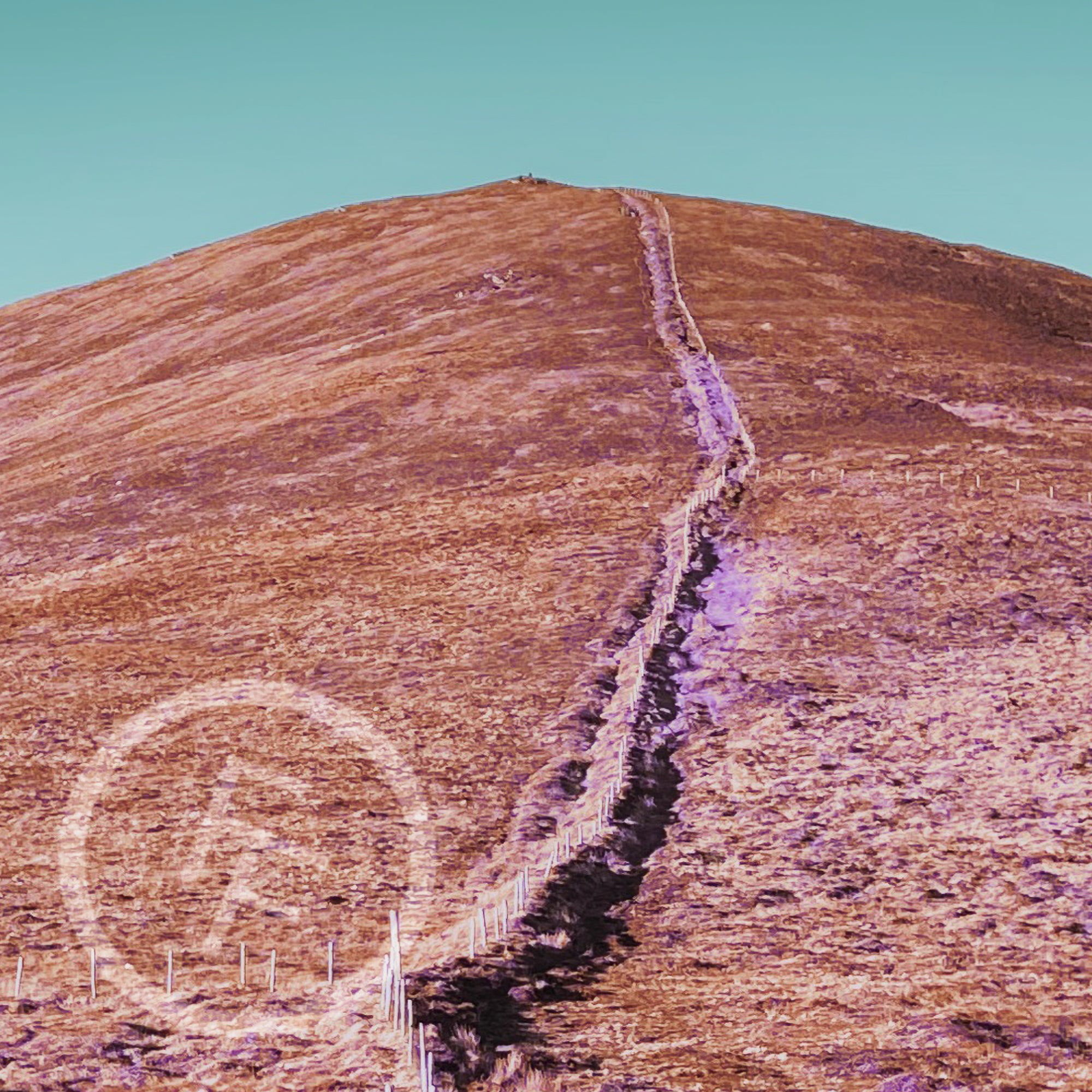 The Hill